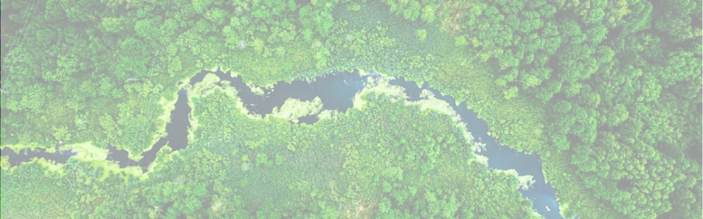 Impact_FullBannerPush (2)