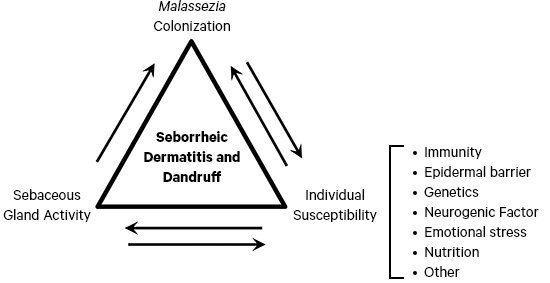 How Seborrheic Dermatitis and Dandruff are related