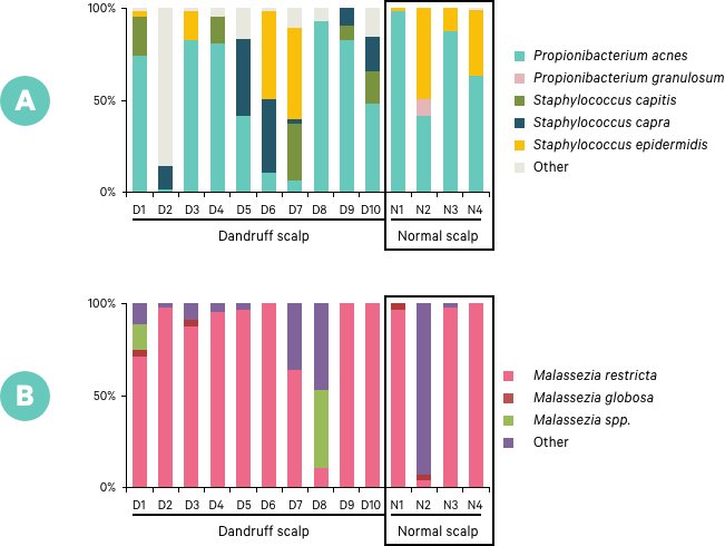 Microbial imbalance between the major bacterial-fungal populations colonizing dandruff scalps in Shanghai, China