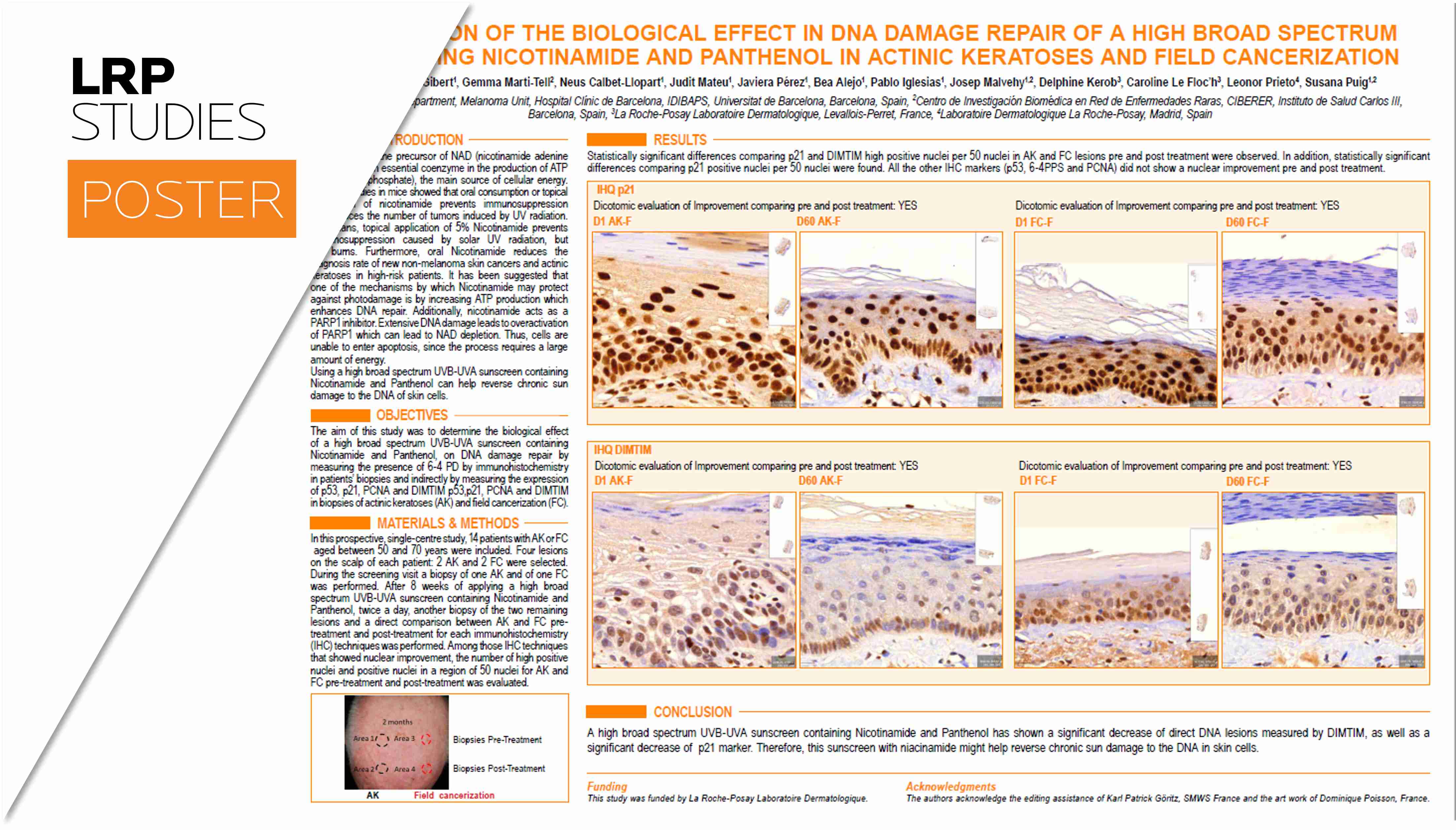 Adult female acne infography