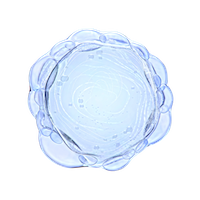 Niacinamide