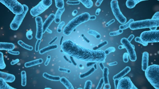 Dermacademy Challenge - Quiz #2 Microbiome