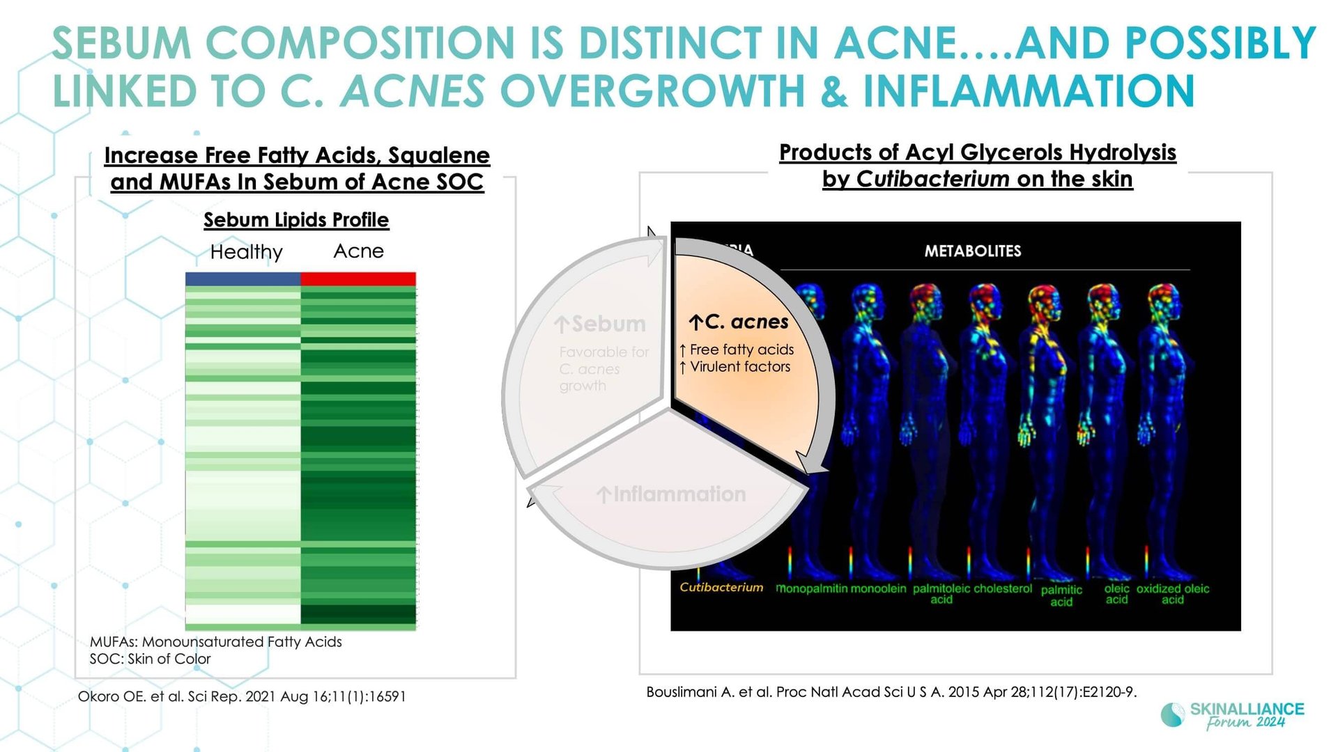 Biological events during various stages of acne