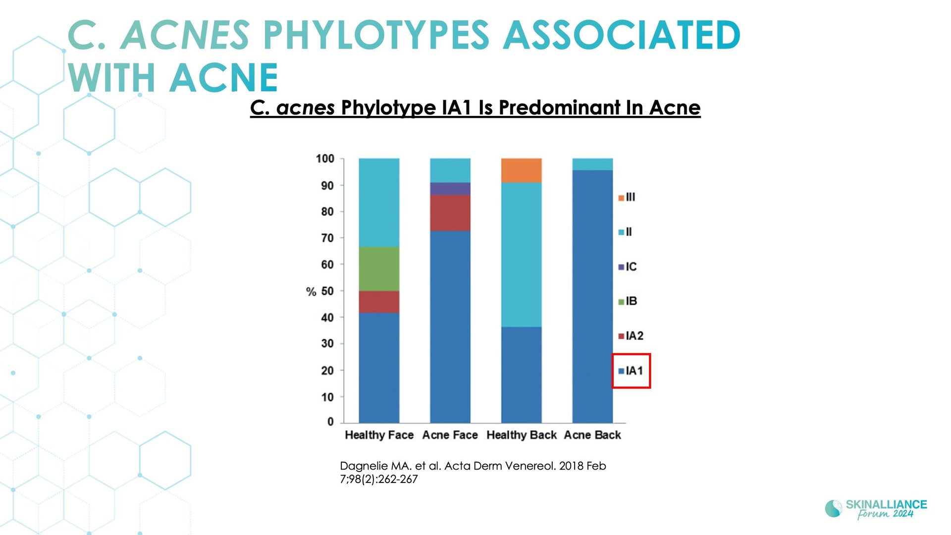 Biological events during various stages of acne