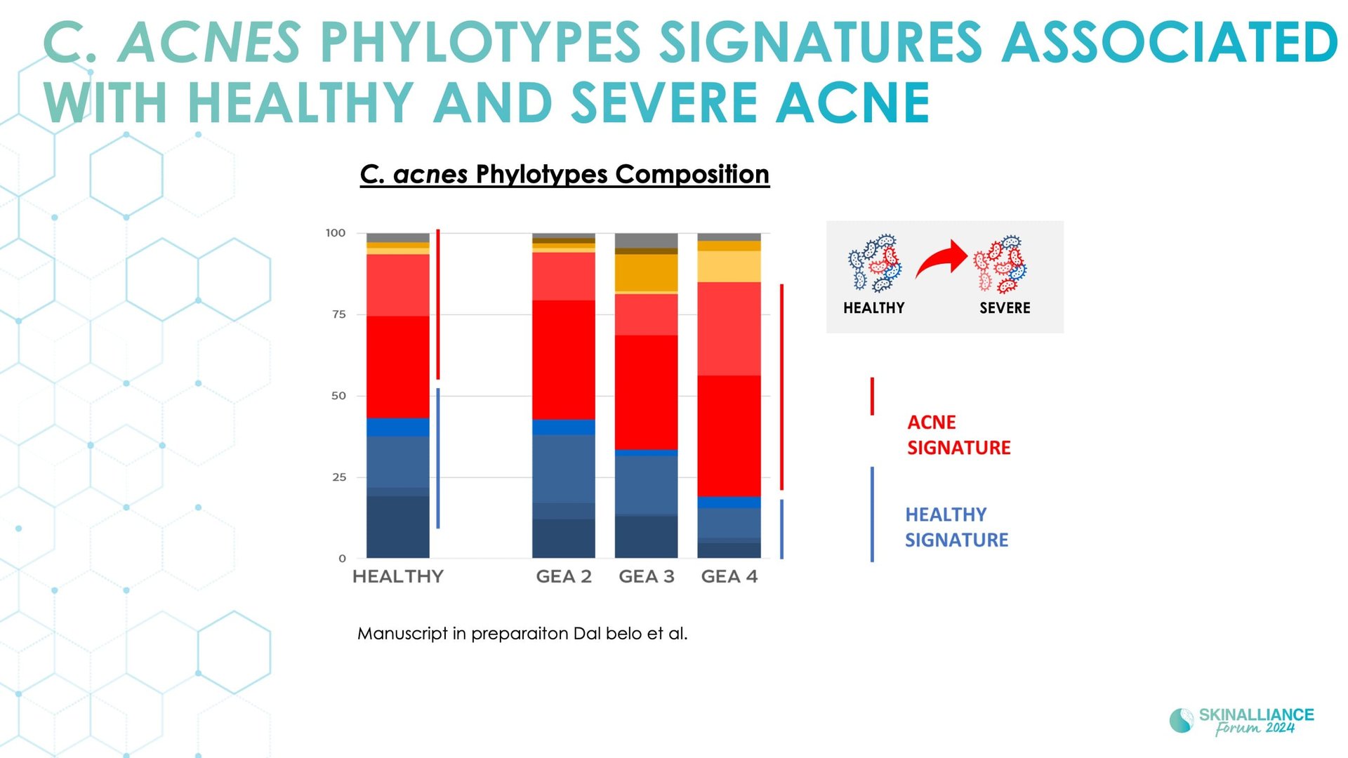 Biological events during various stages of acne