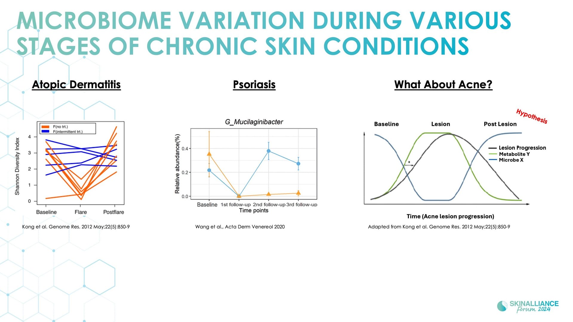 Biological events during various stages of acne