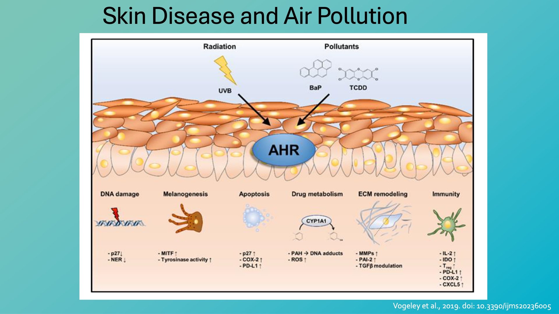 Adressing climate change impact on skin health