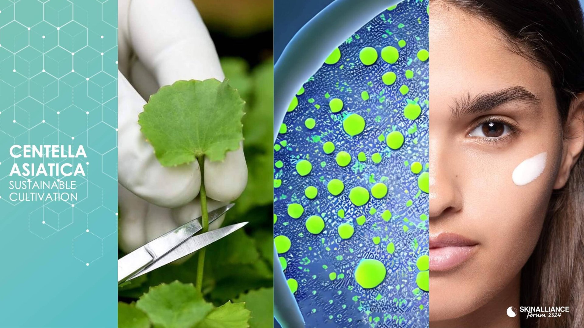 Green science and sustainable dermatology