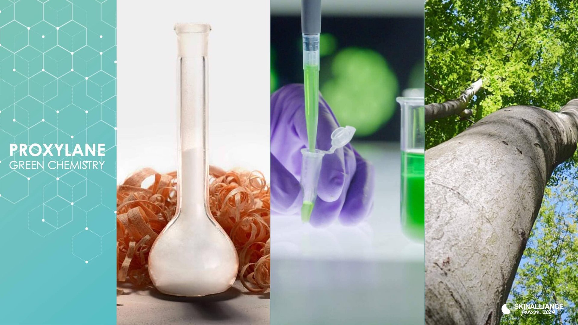 Green science and sustainable dermatology