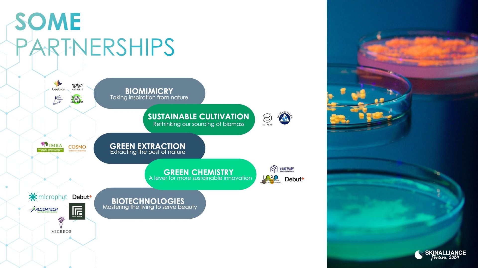 Green science and sustainable dermatology