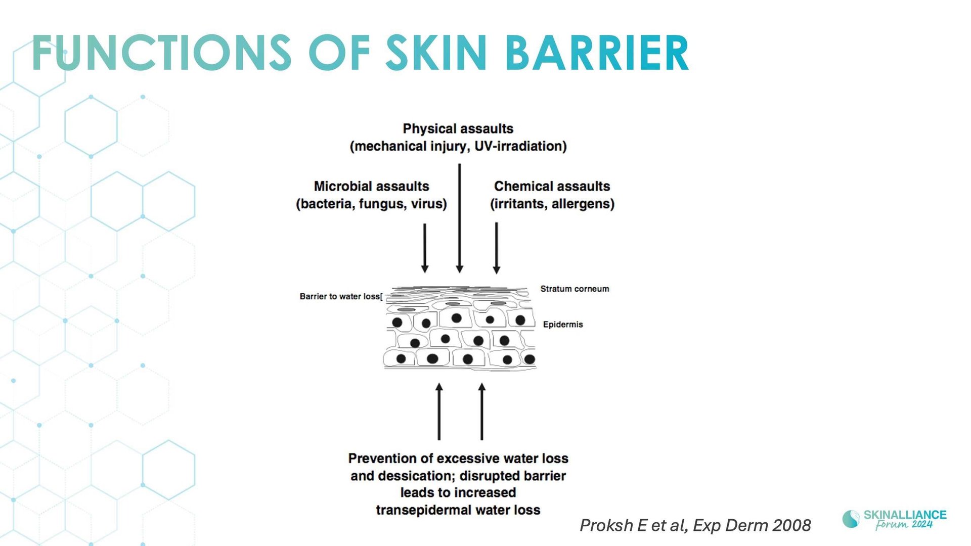 Overview of skin barrier structure and function