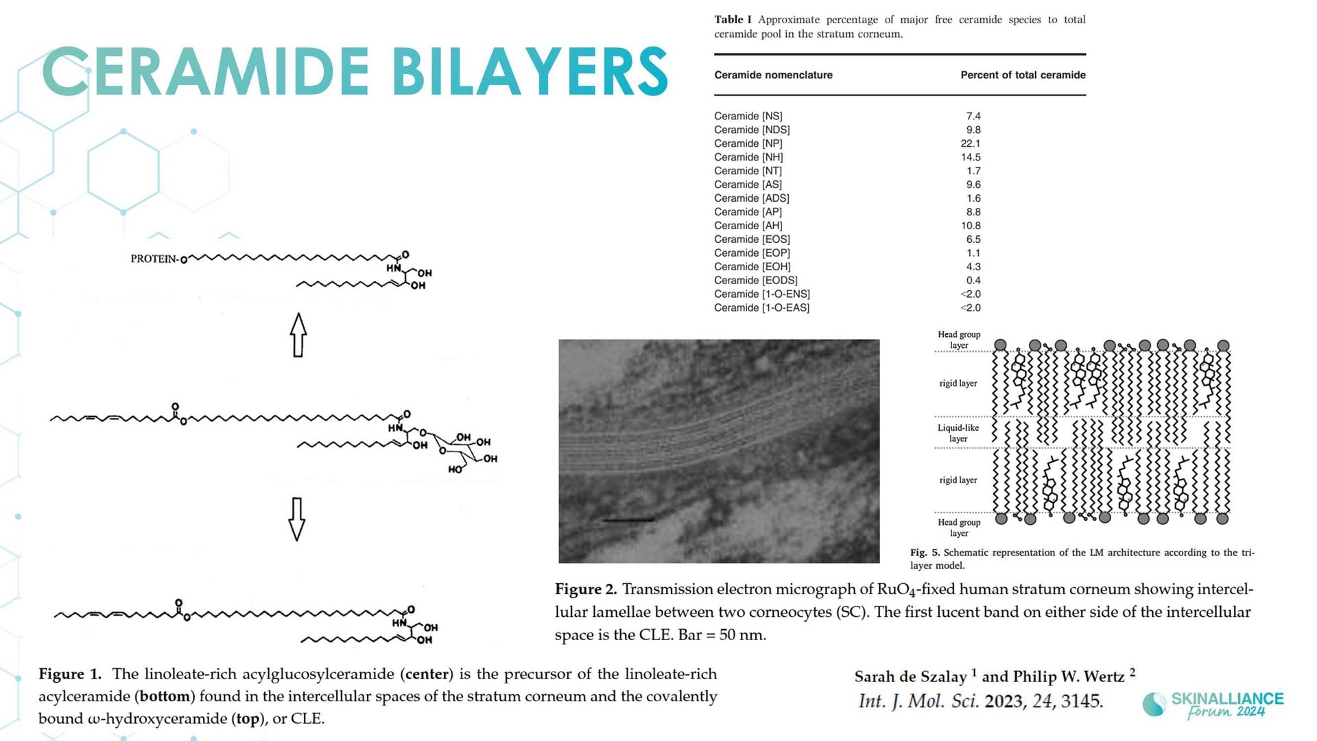 Overview of skin barrier structure and function