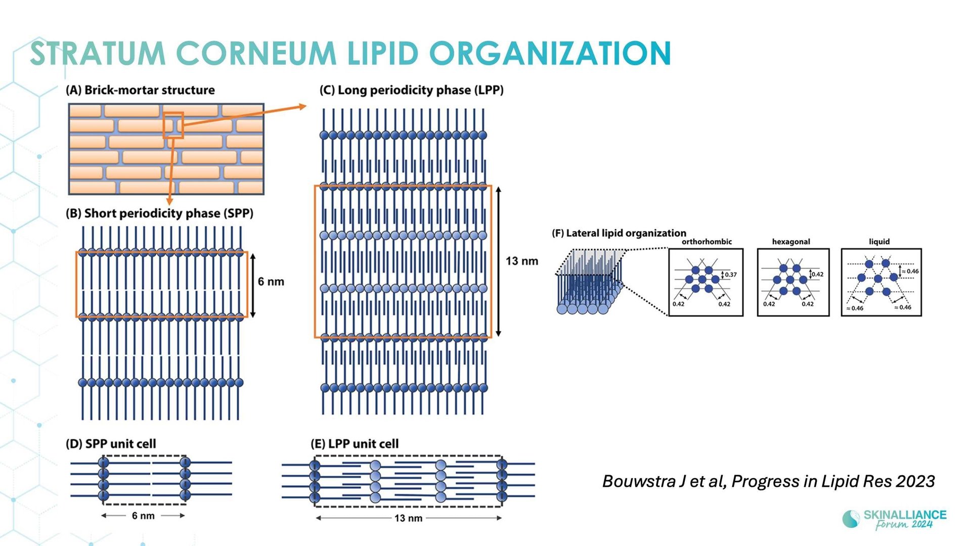 Overview of skin barrier structure and function