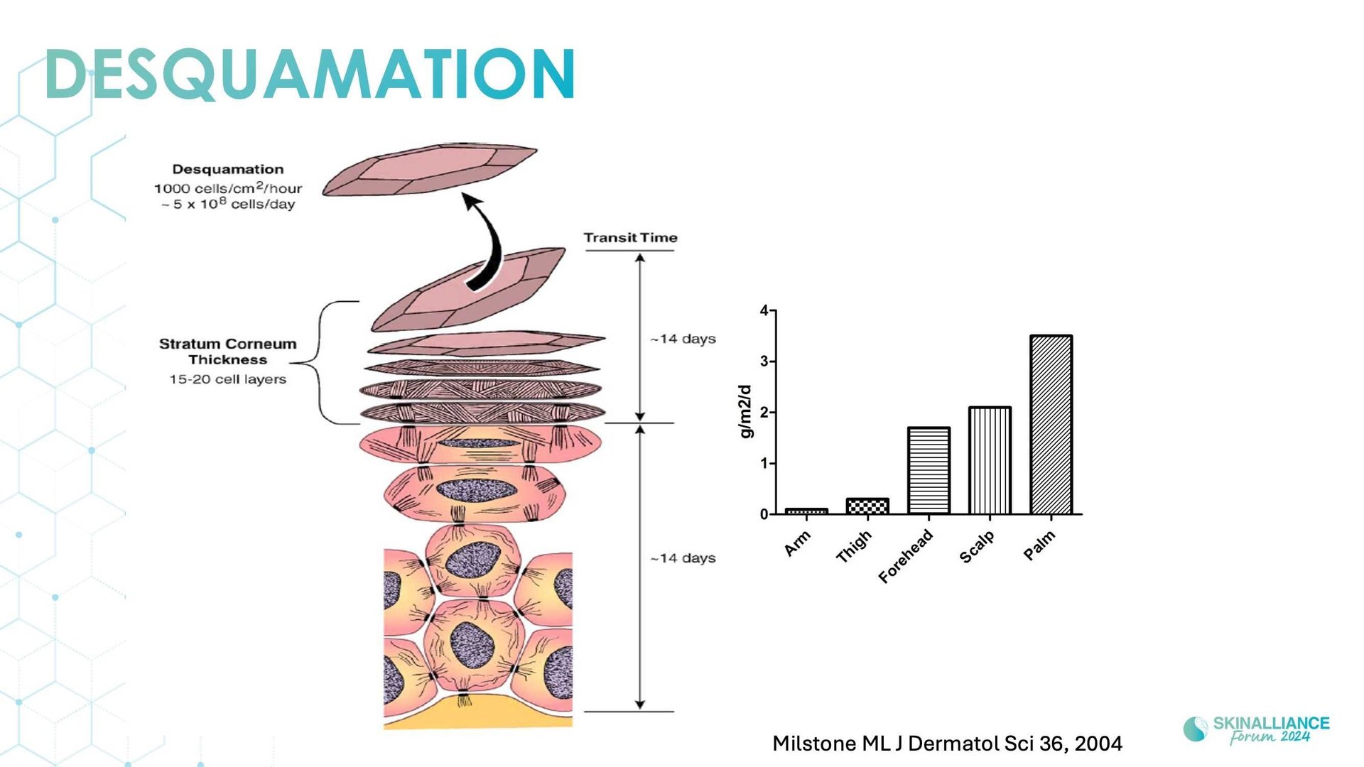 Overview of skin barrier structure and function