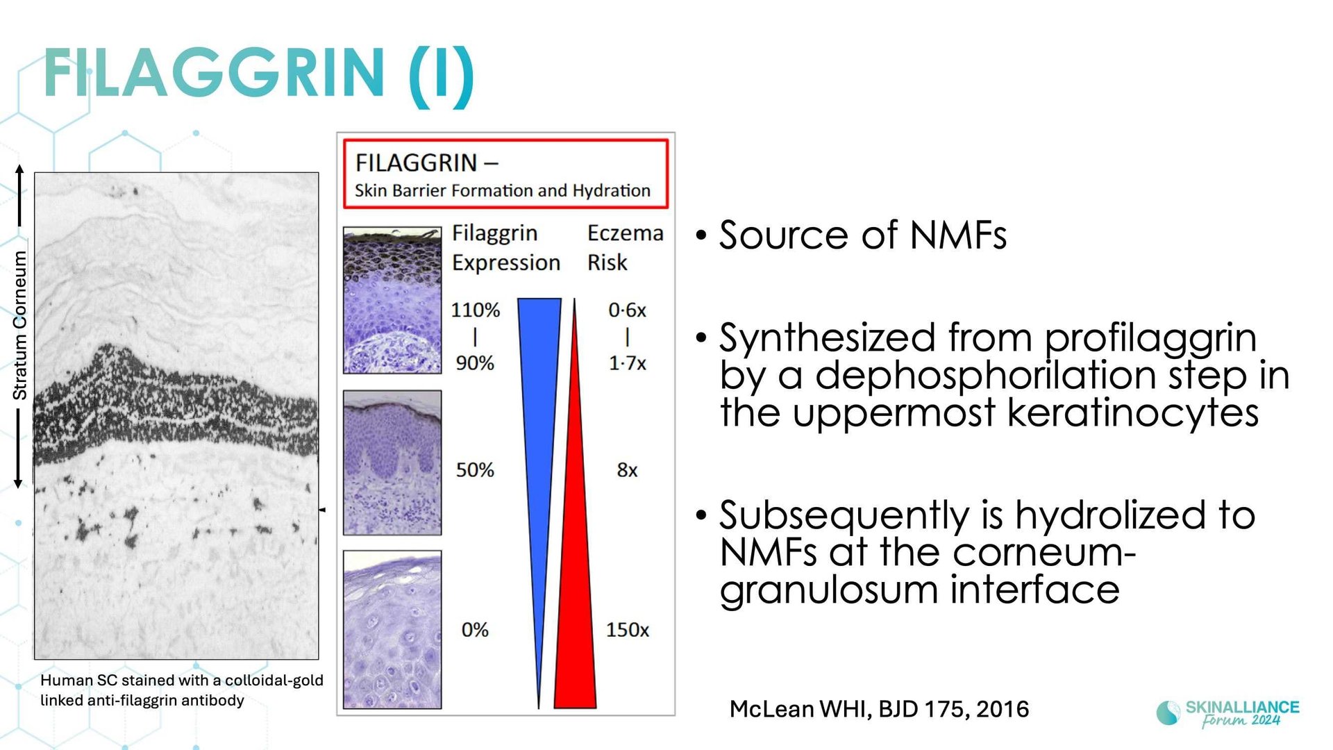 Overview of skin barrier structure and function