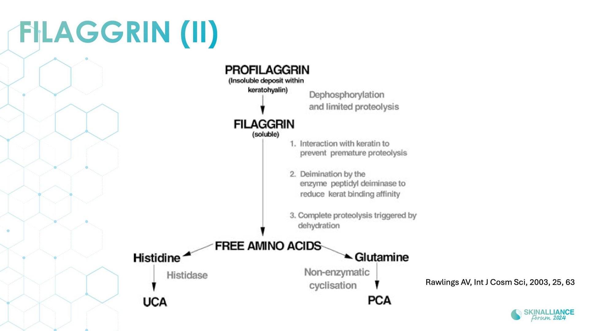 Overview of skin barrier structure and function