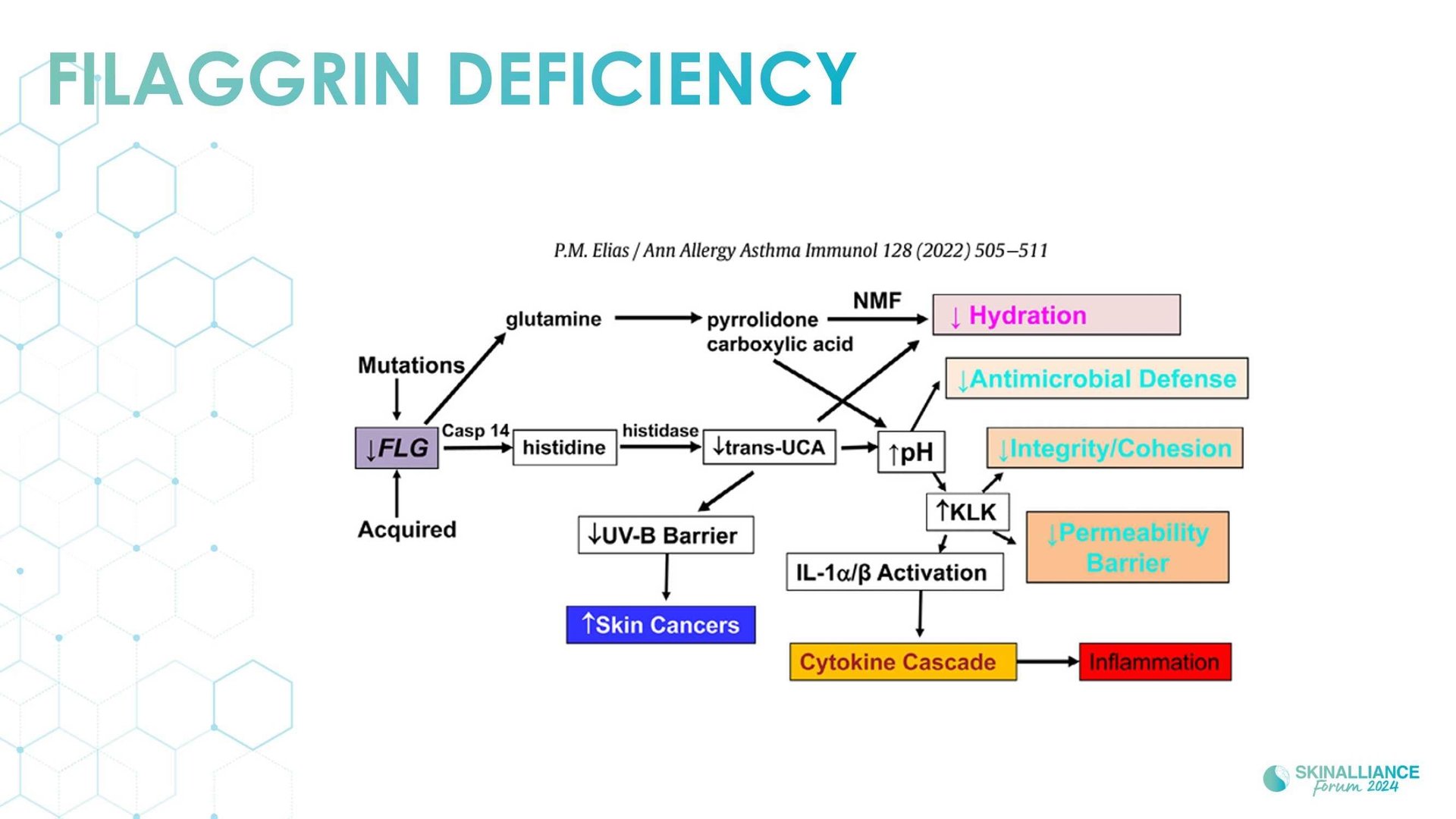 Overview of skin barrier structure and function