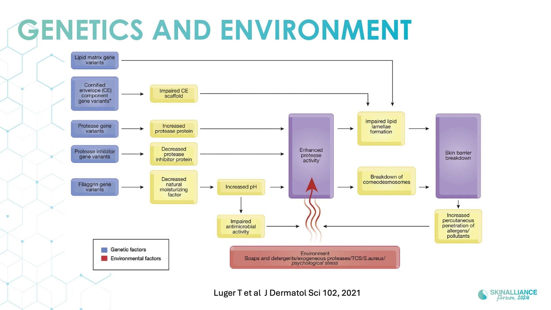 Overview of skin barrier structure and function
