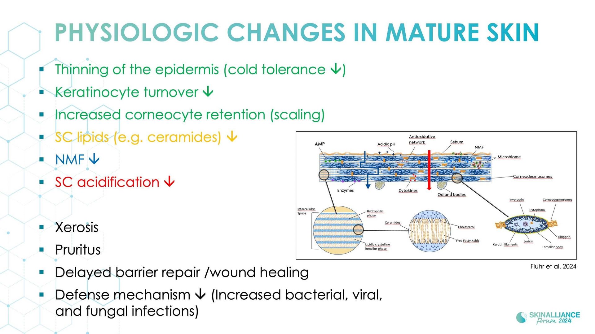 Mature xerosis alterations in barrier structure, function, and composition with age