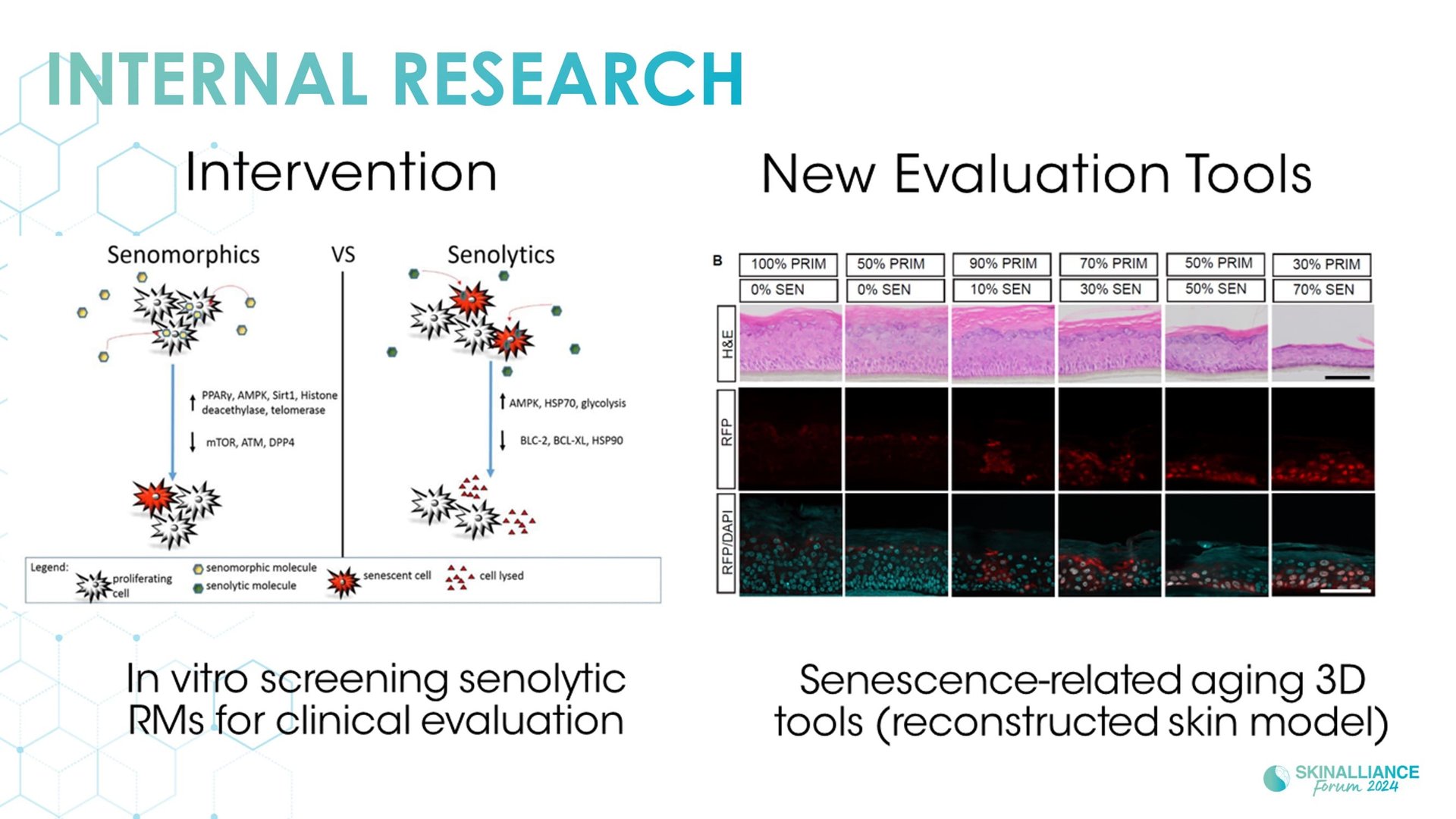 Regenerative/Cellular Senescence