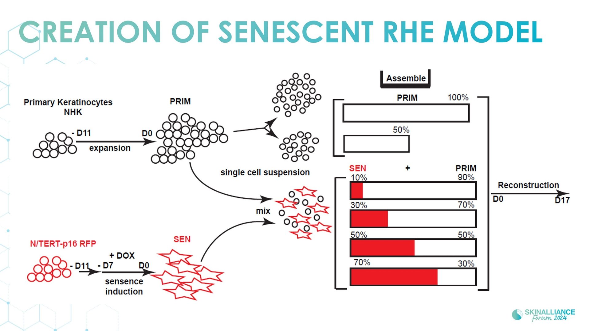 Regenerative/Cellular Senescence