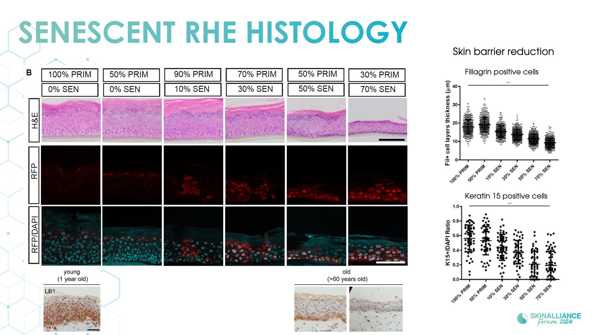 Regenerative/Cellular Senescence