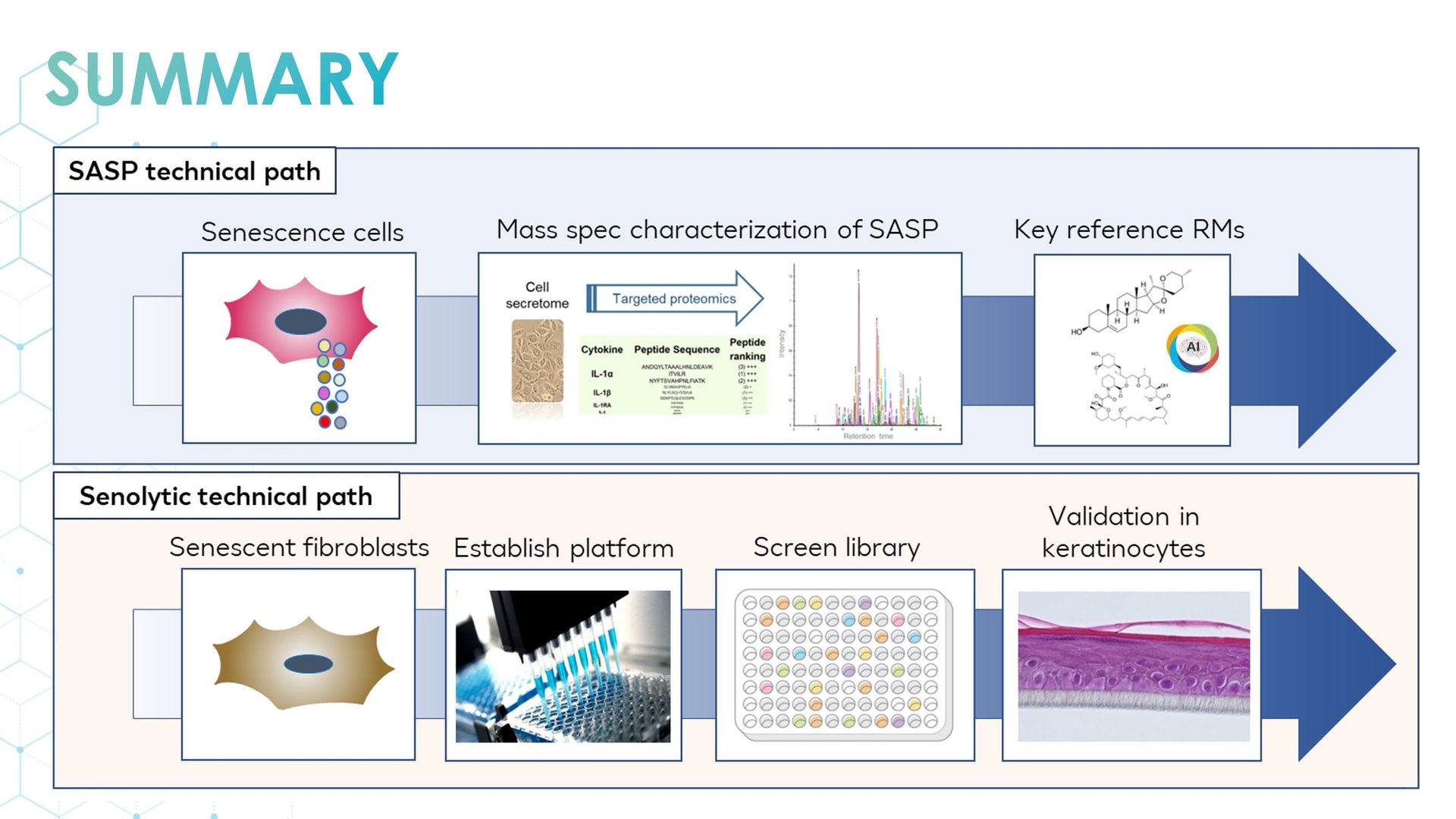 Regenerative/Cellular Senescence