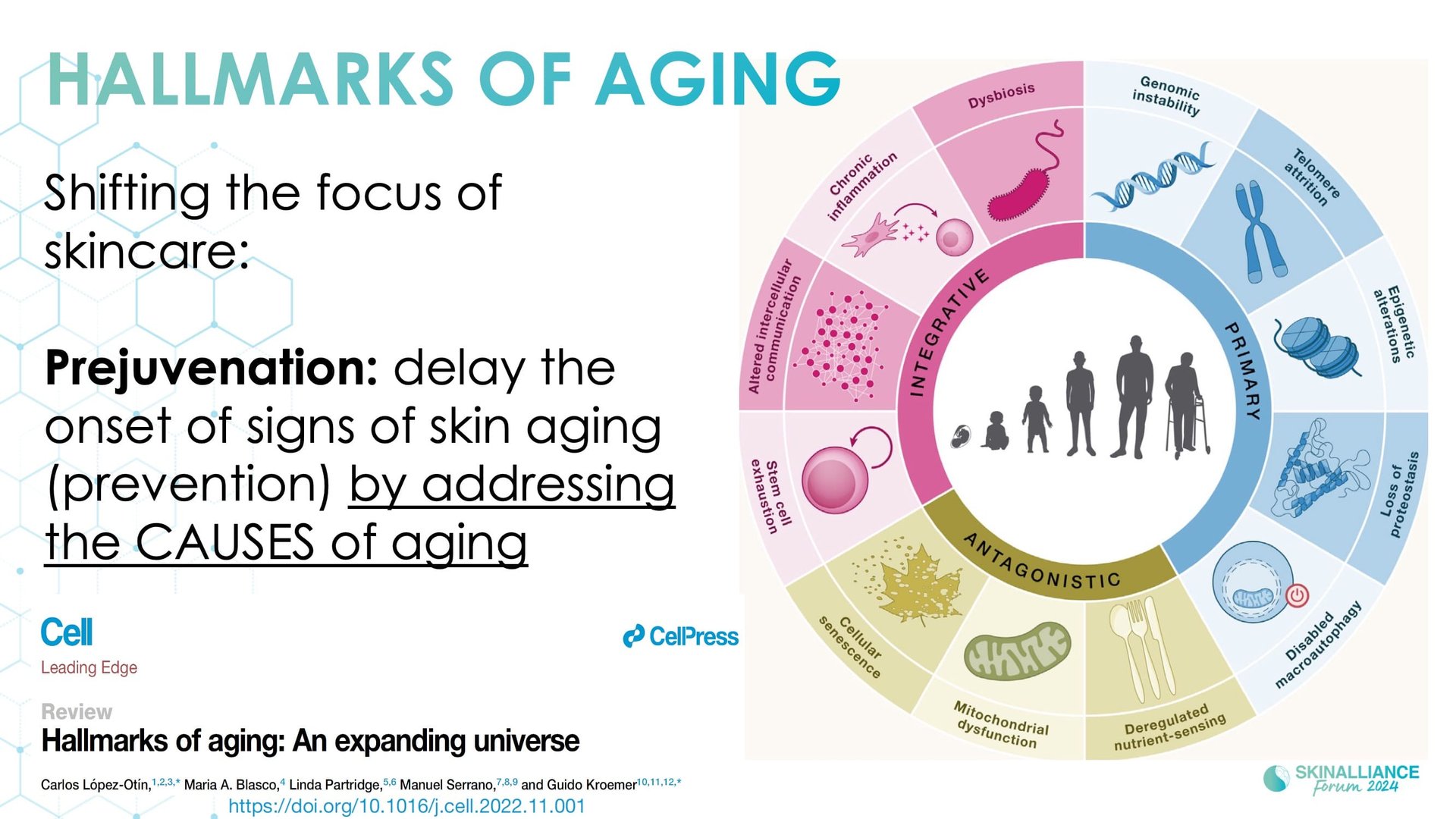 Regenerative/Cellular Senescence