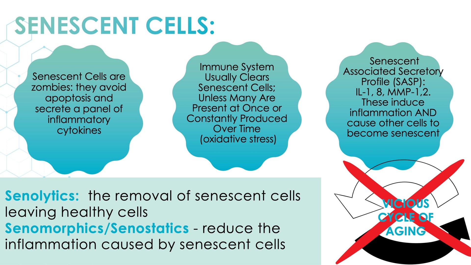 Regenerative/Cellular Senescence