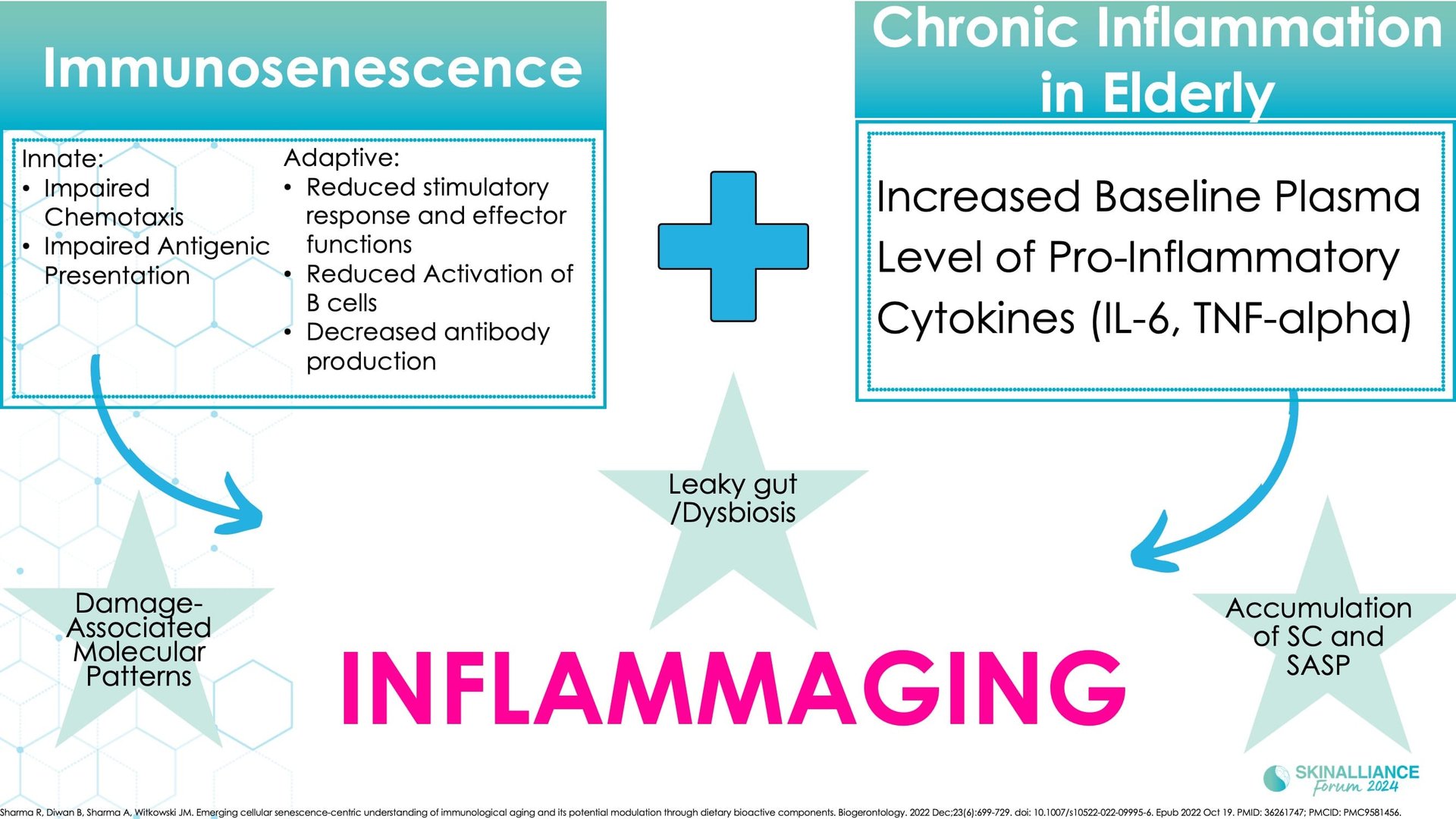 Regenerative/Cellular Senescence