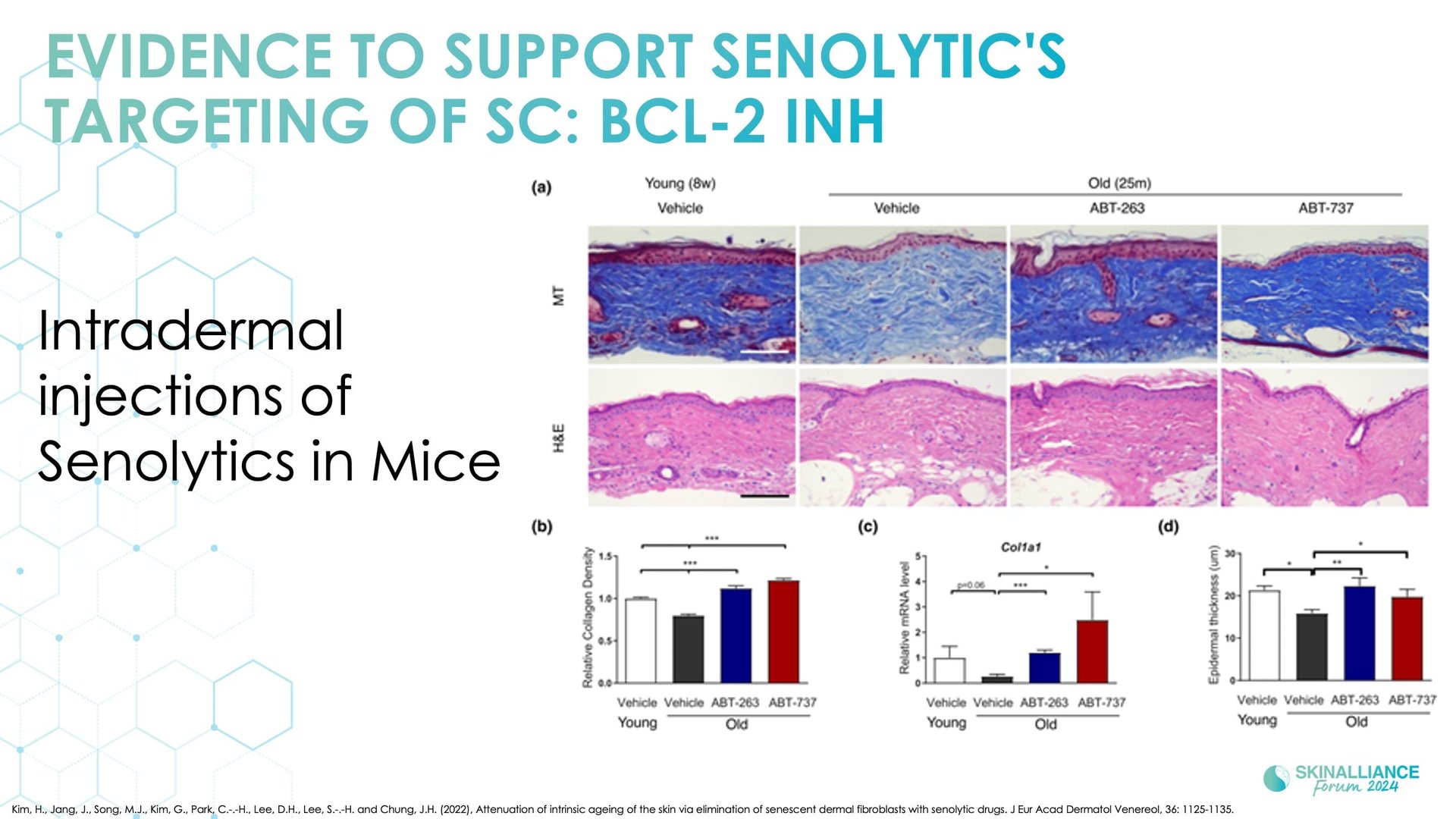 Regenerative/Cellular Senescence