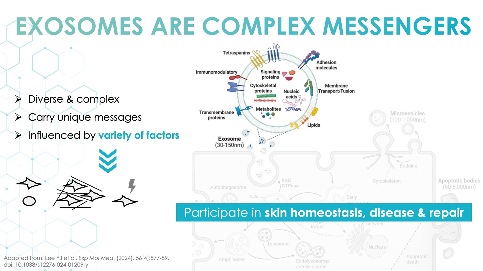 Exosomes