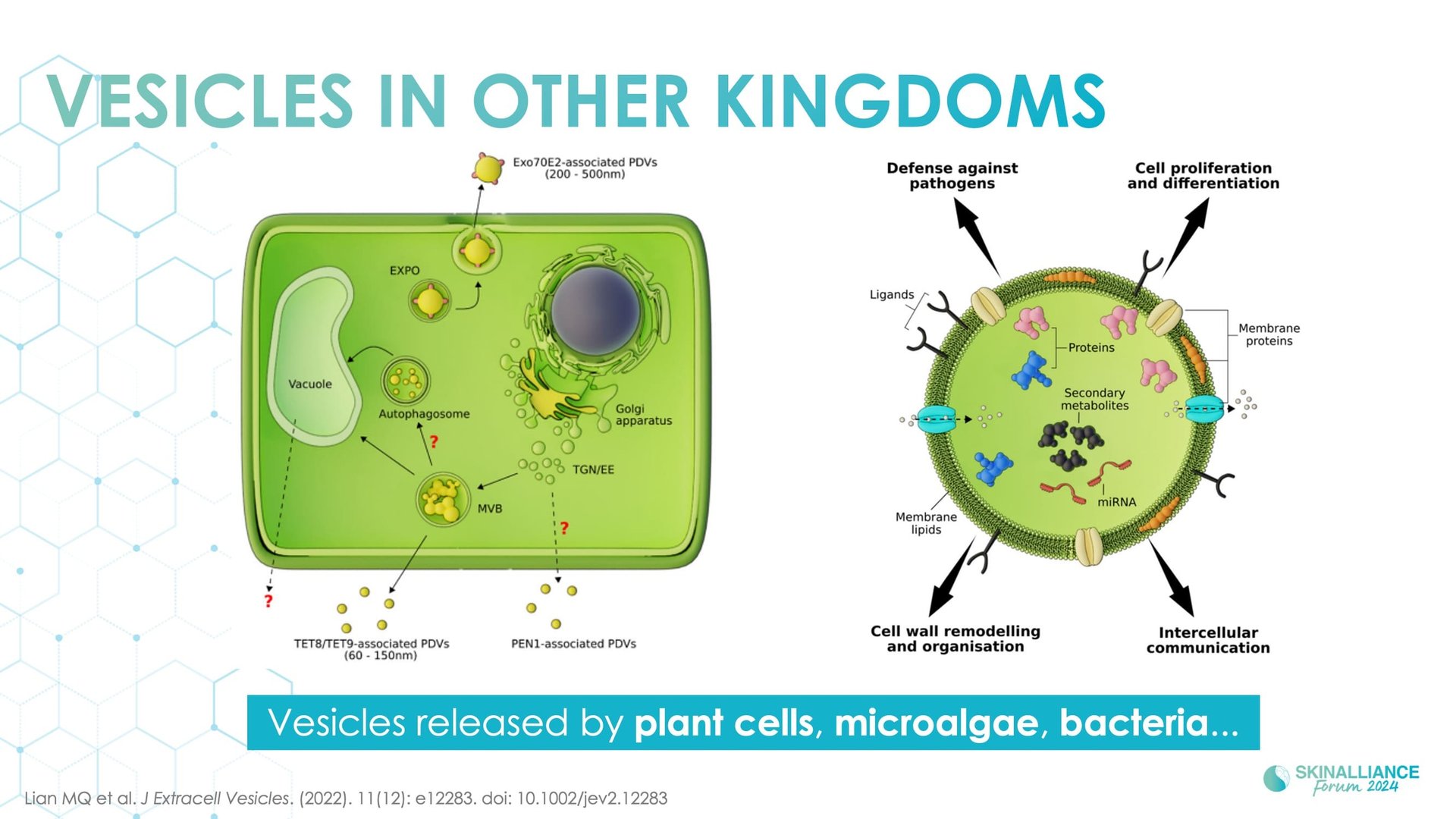 Exosomes