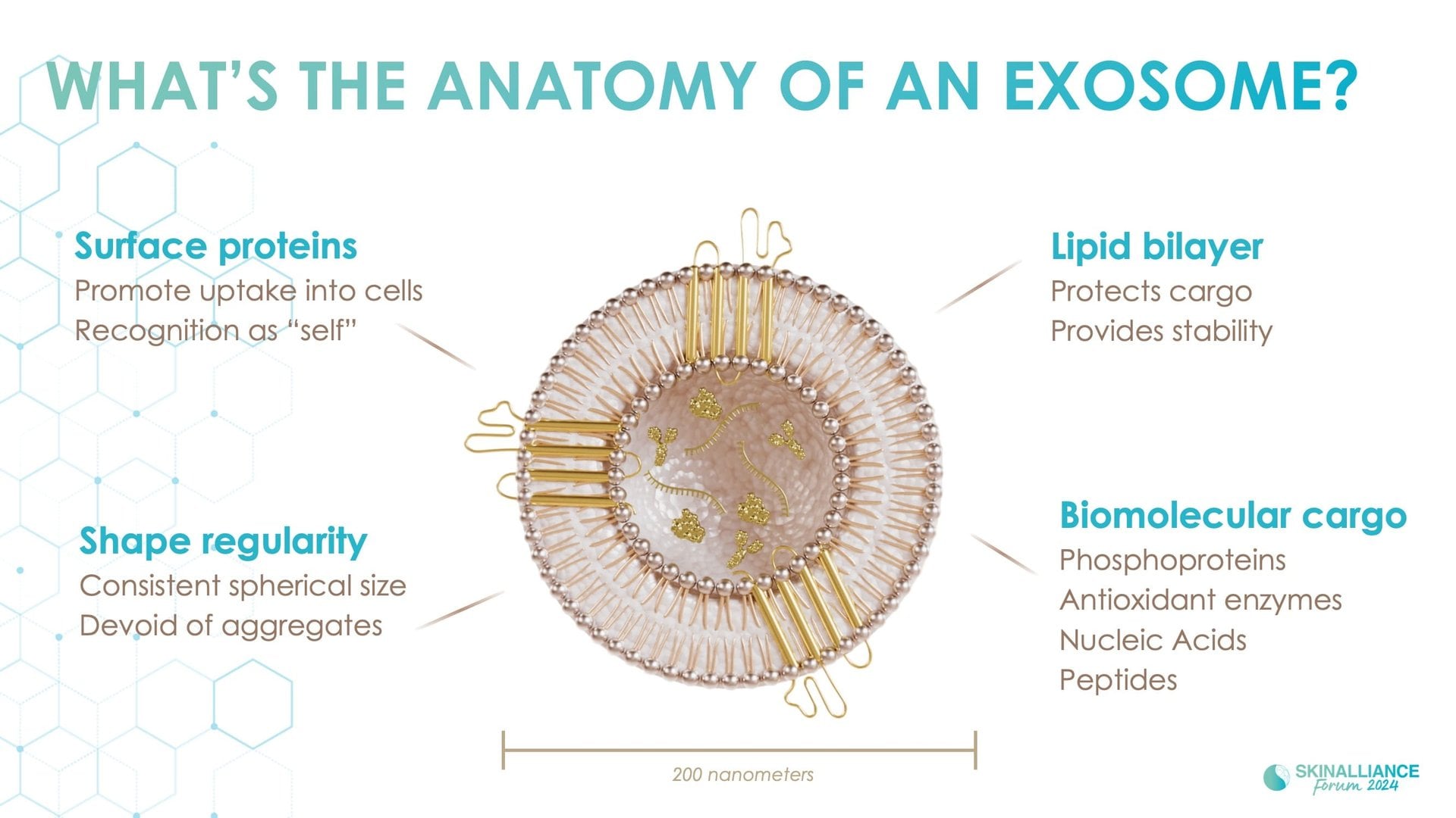 Exosomes and skin longevity