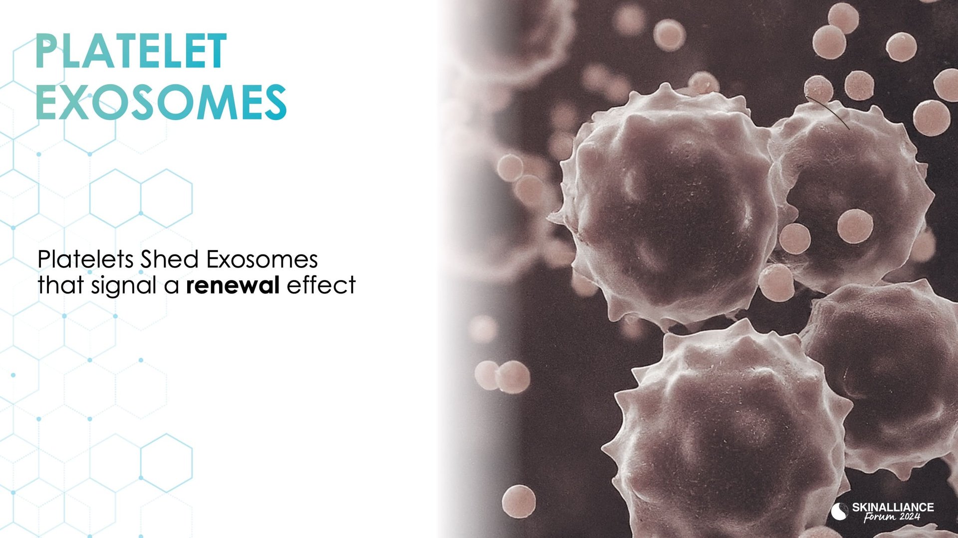 Exosomes and skin longevity