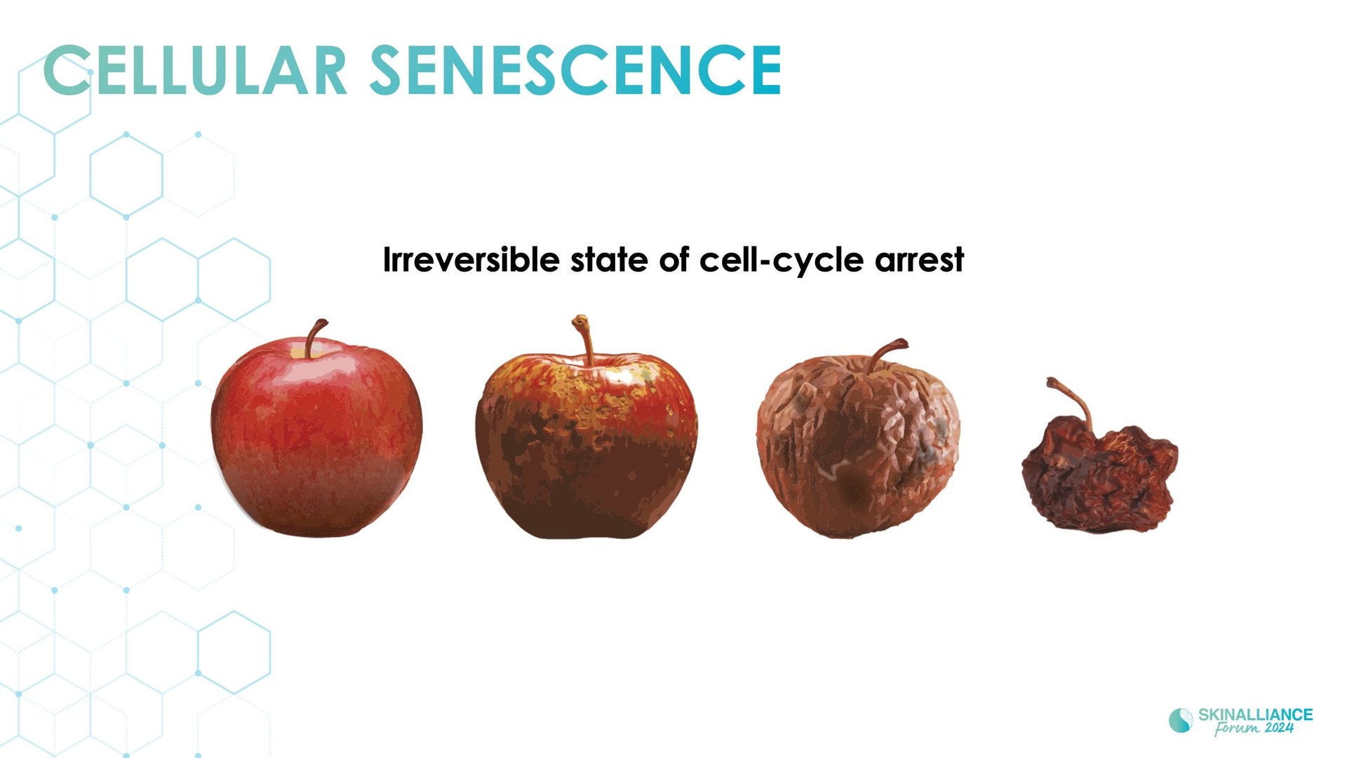 Exosomes and skin longevity
