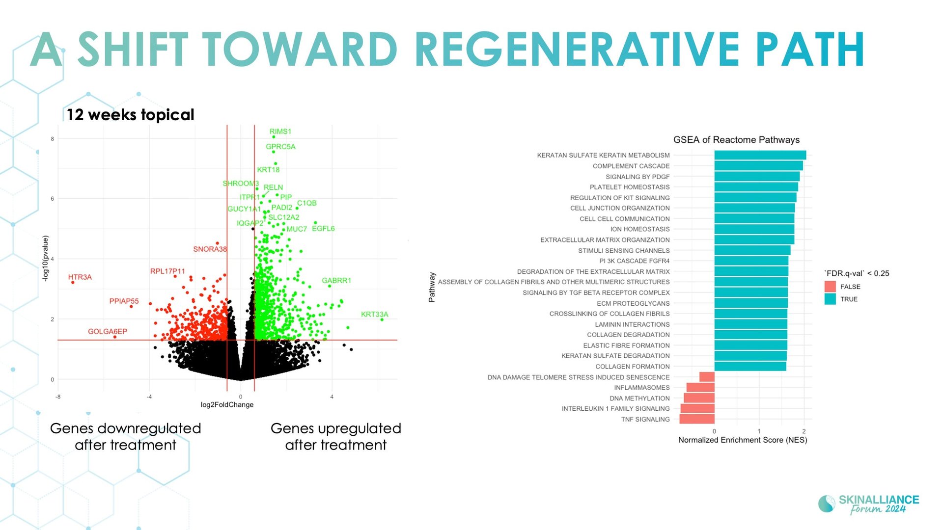 Exosomes and skin longevity