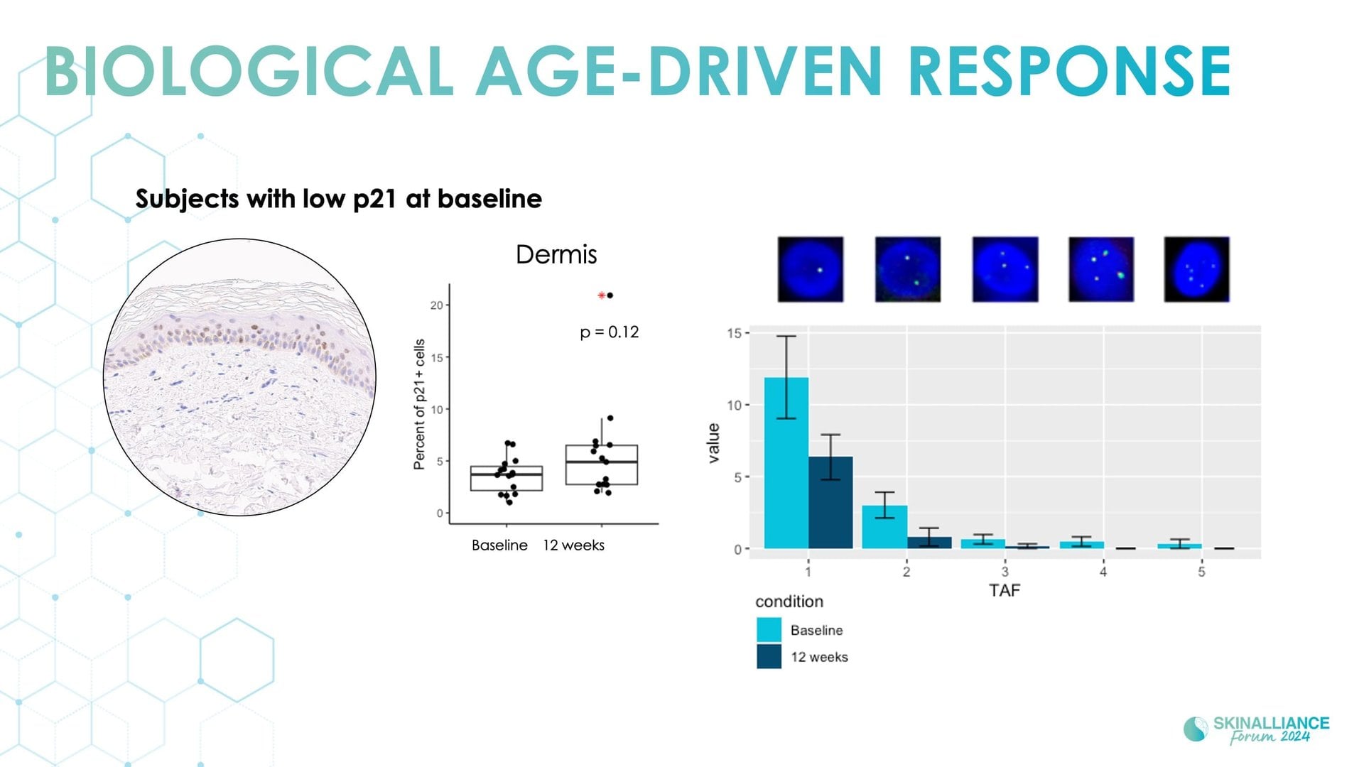 Exosomes and skin longevity