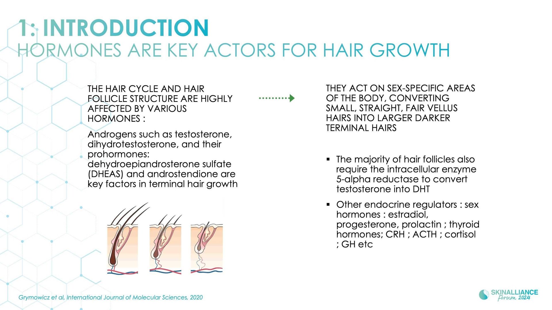 Innovating in hair research and topical solutions
