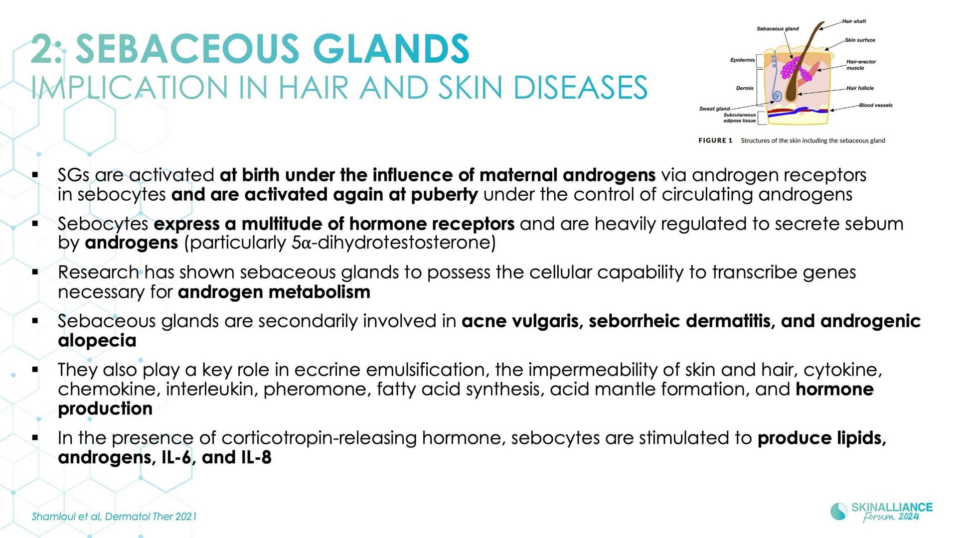 Innovating in hair research and topical solutions