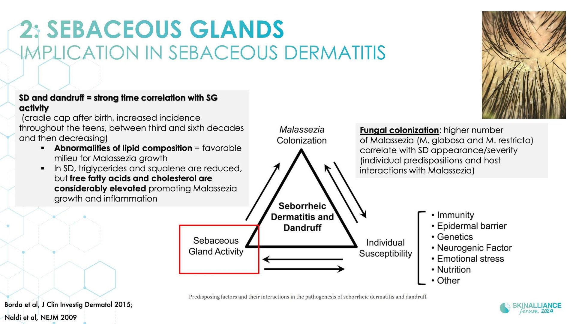 Innovating in hair research and topical solutions