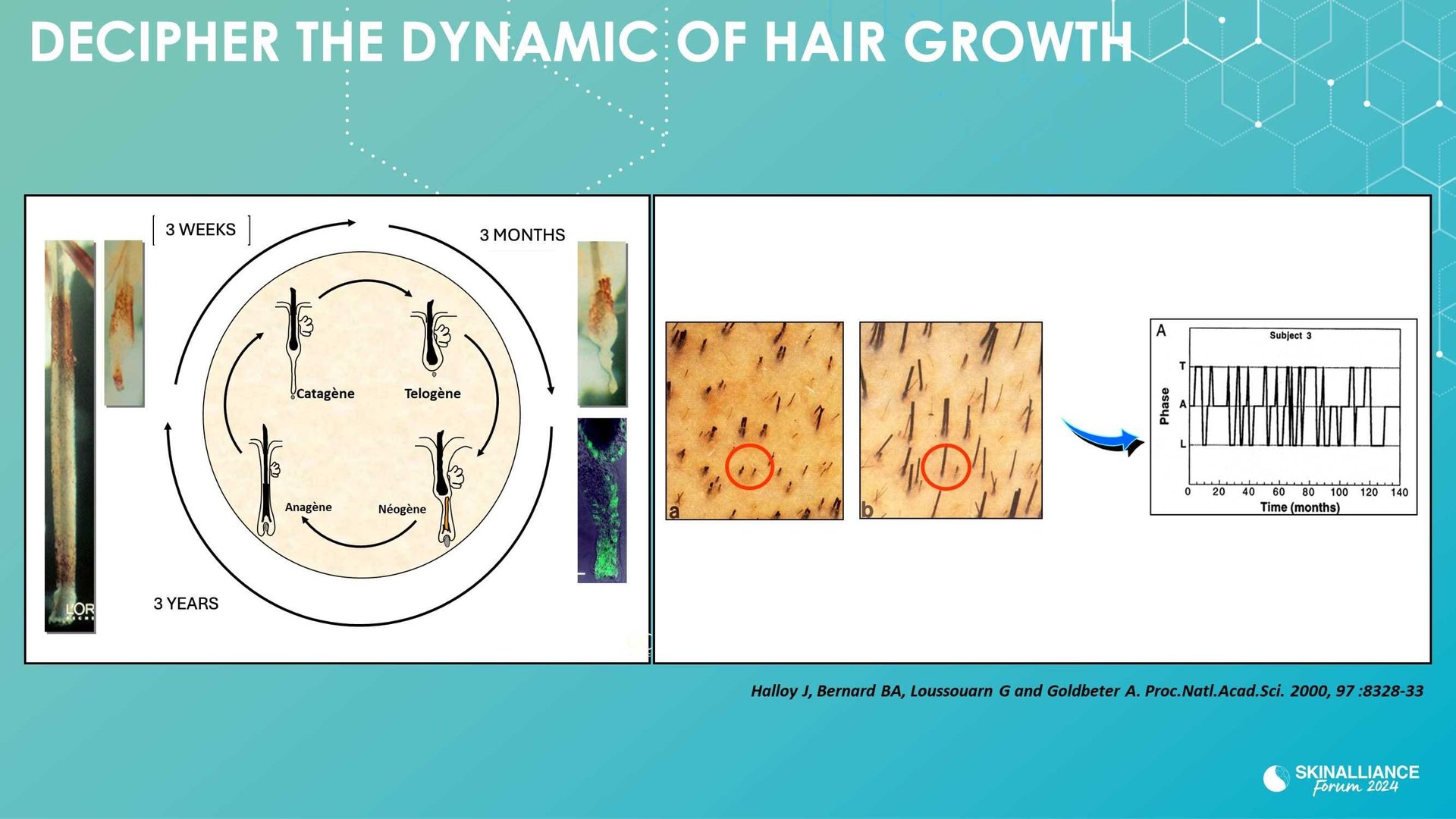New research evidence in hair loss