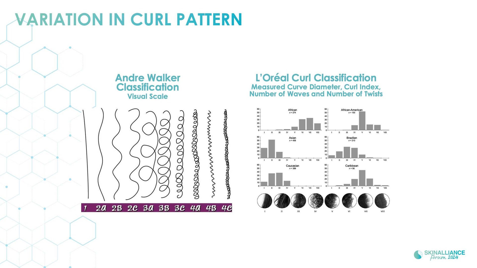 Scalp and hair diversity