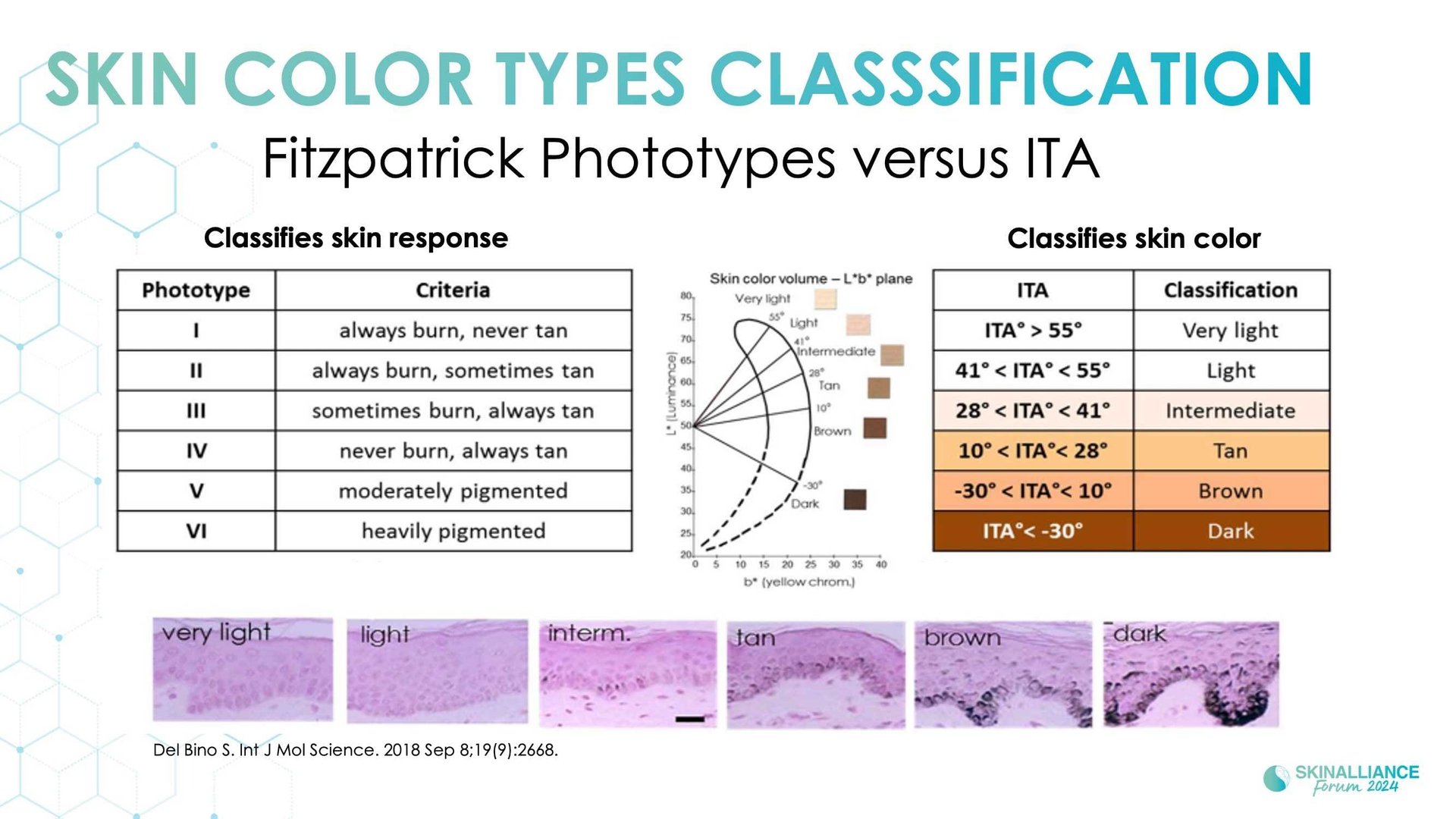 New insights in the physiopathology of hyperpigmentation and clinical impact