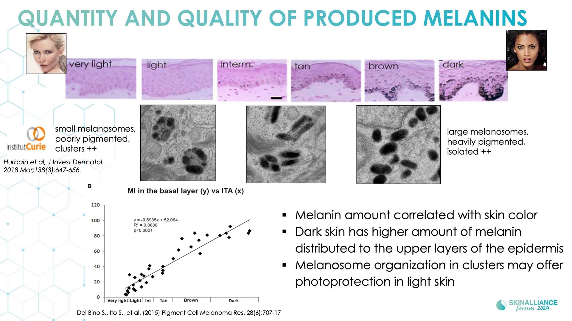 New insights in the physiopathology of hyperpigmentation and clinical impact