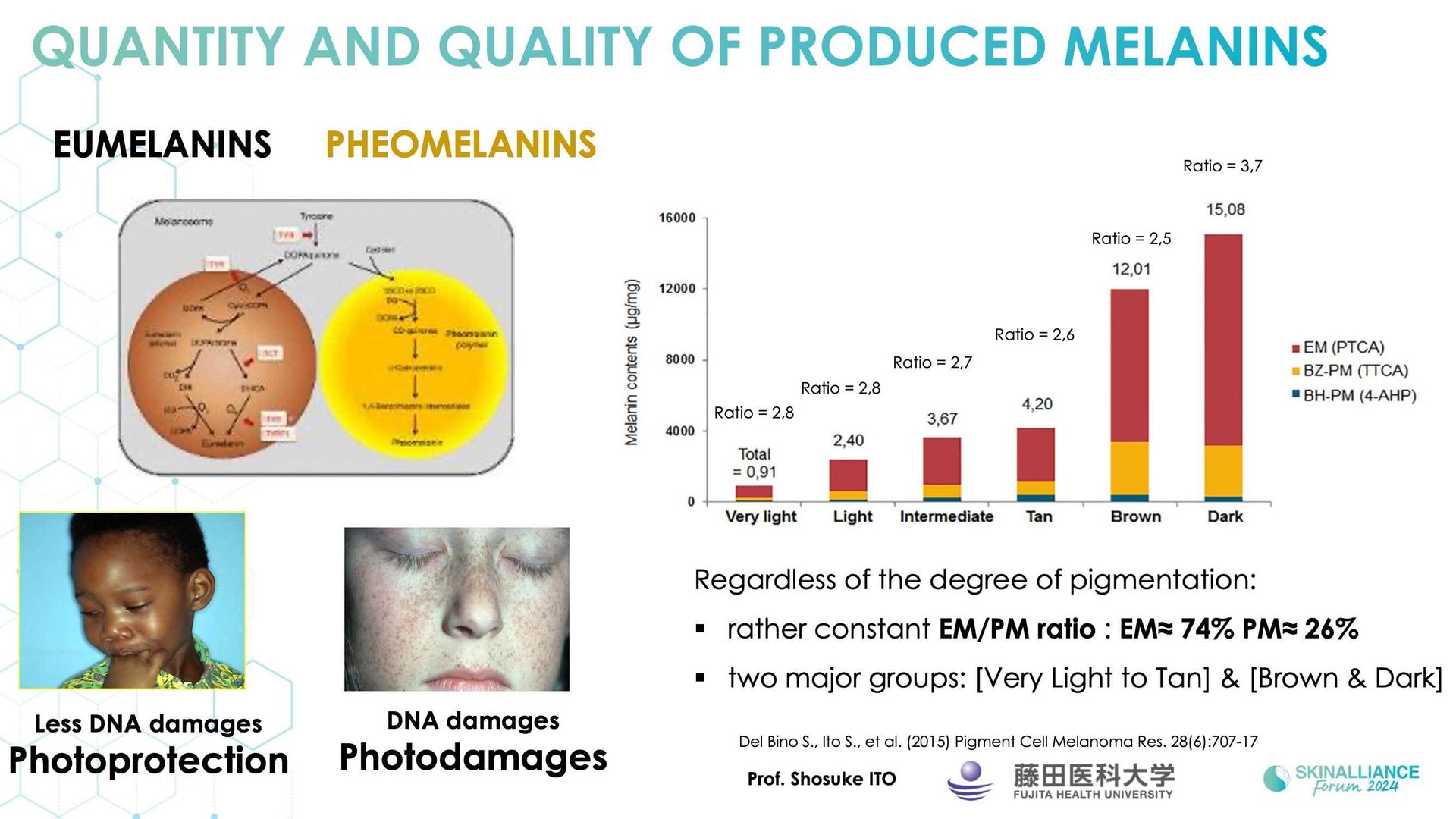 New insights in the physiopathology of hyperpigmentation and clinical impact