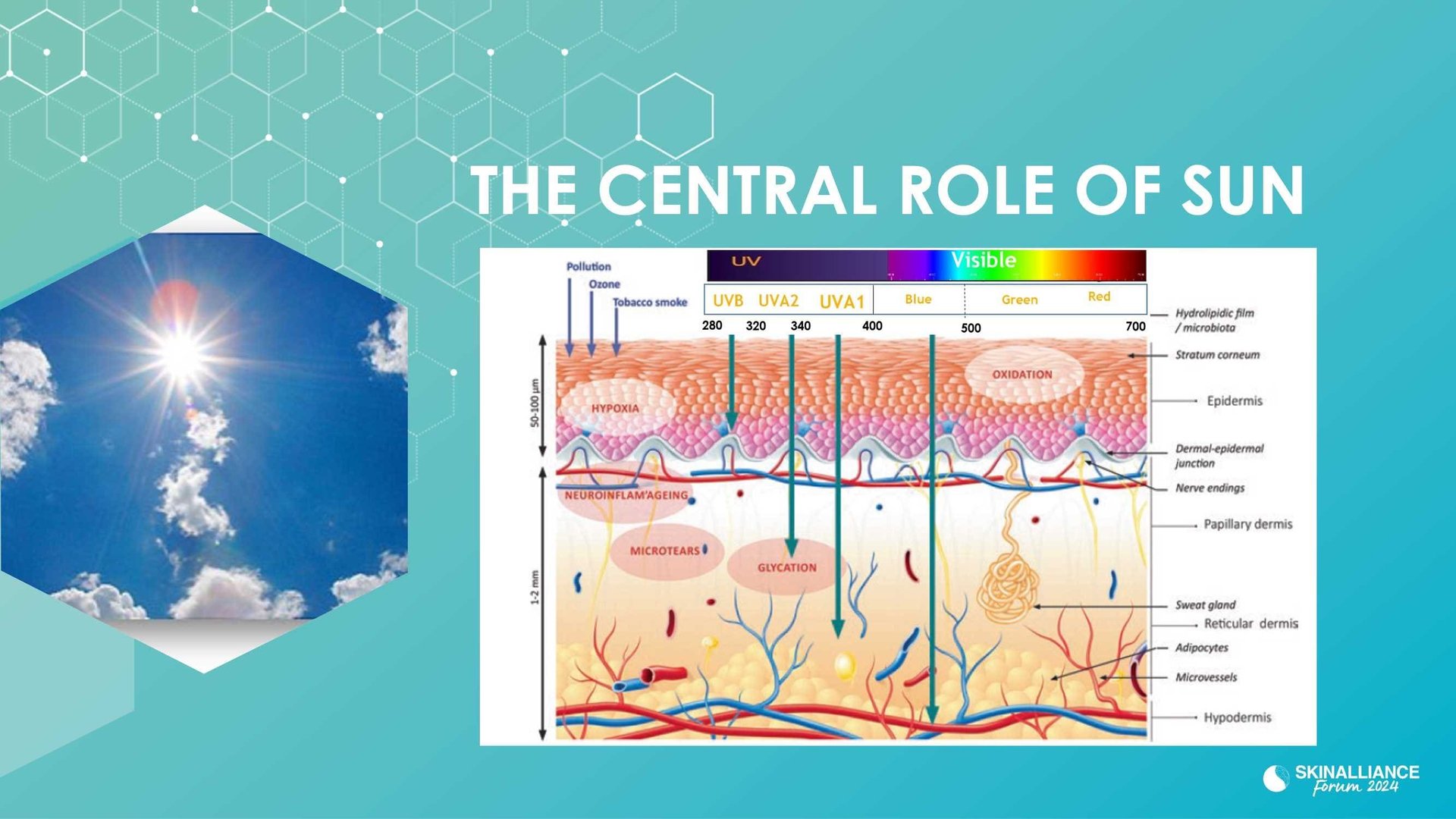 New insights in the physiopathology of hyperpigmentation and clinical impact