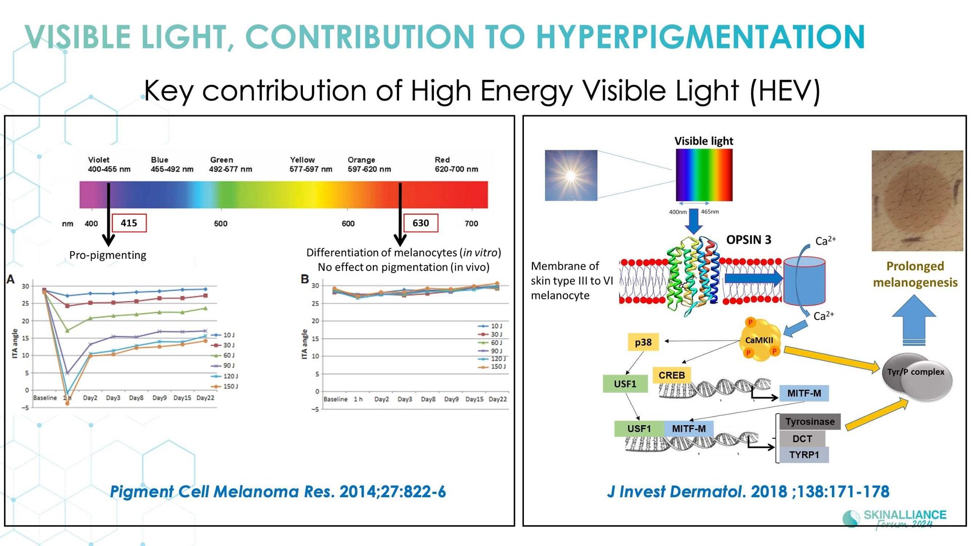 New insights in the physiopathology of hyperpigmentation and clinical impact