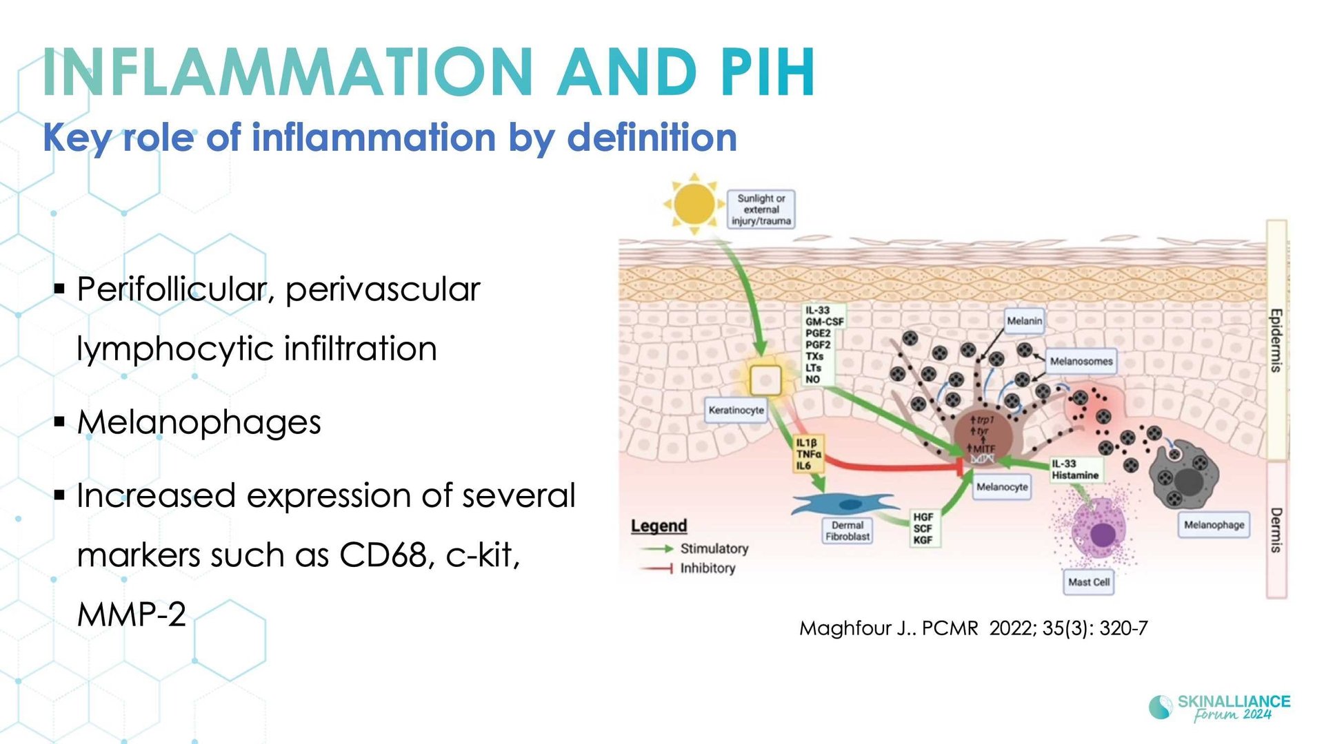 New insights in the physiopathology of hyperpigmentation and clinical impact