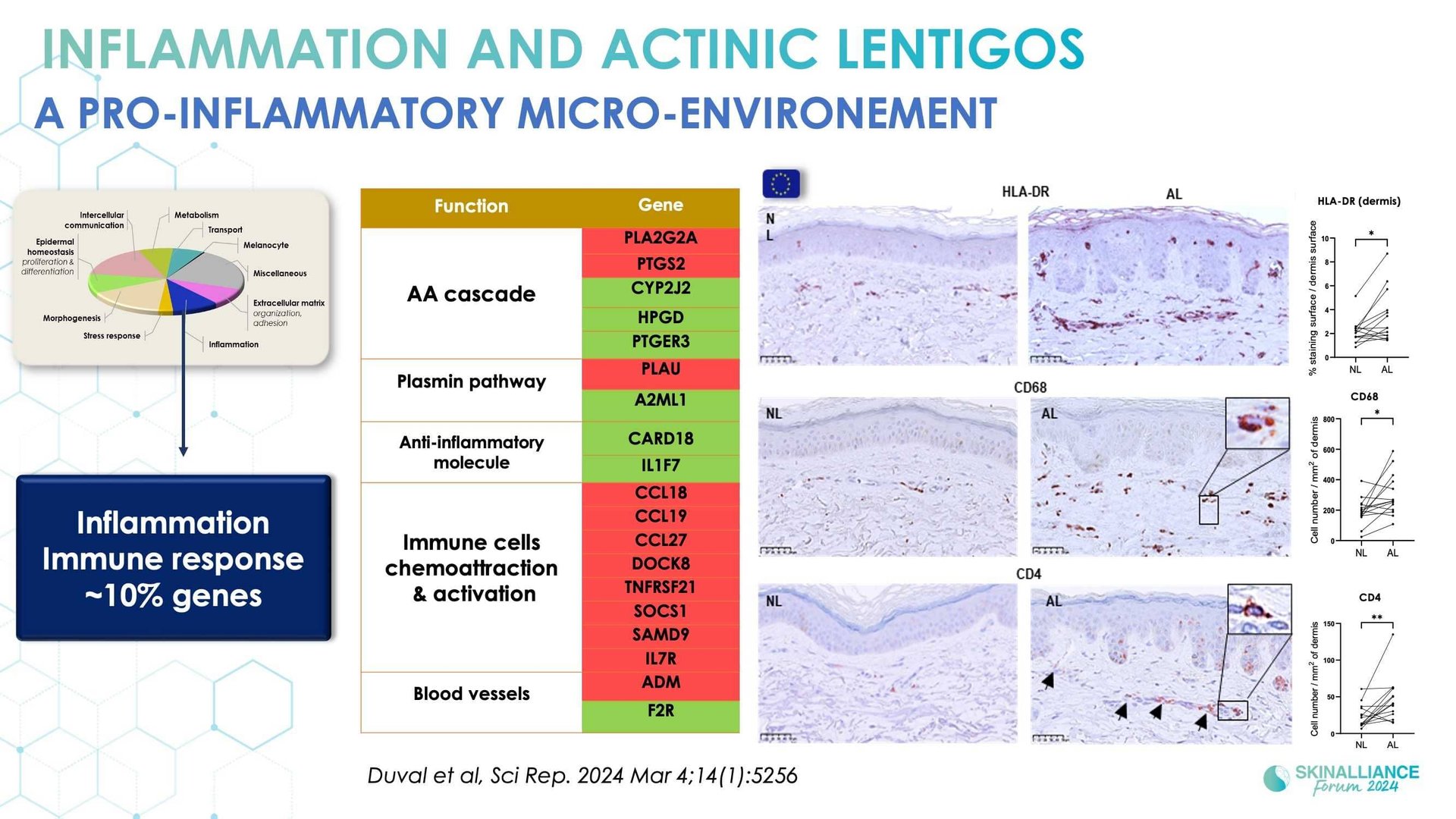 New insights in the physiopathology of hyperpigmentation and clinical impact